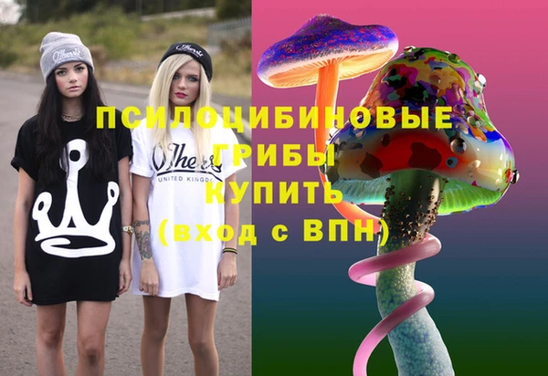 сатива Абинск