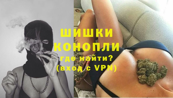 спайс Алзамай