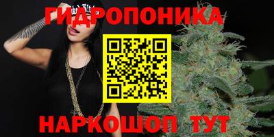 метадон Вышний Волочёк