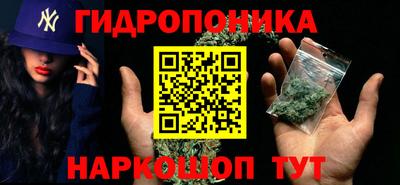 стаф Вязники