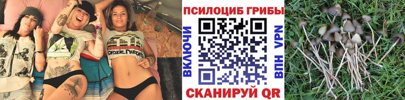 Галлюциногенные грибы прущие грибы  Белореченск 