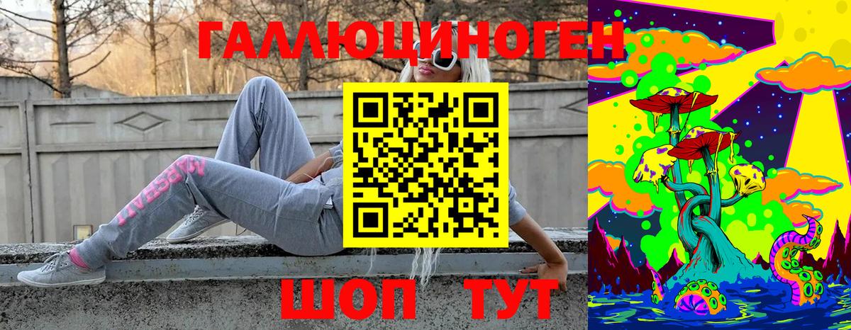Белореченск  наркотики  Вход с VPN  Псилоцибиновые грибы GOLDEN TEACHER 
